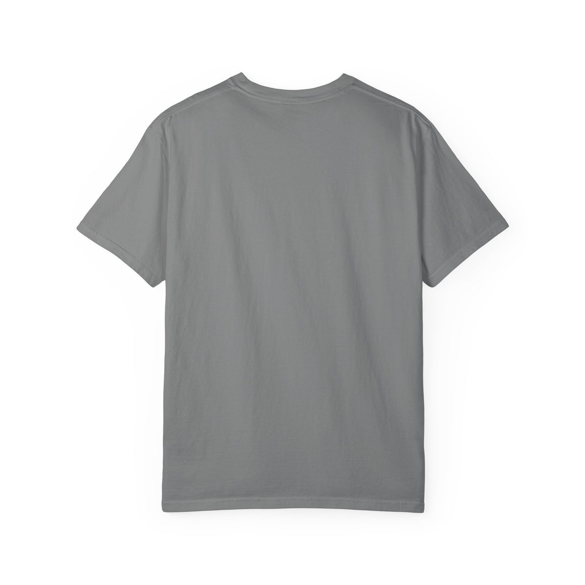 Lion Portrait T-Shirt — Majestic Lion Graphic Tee